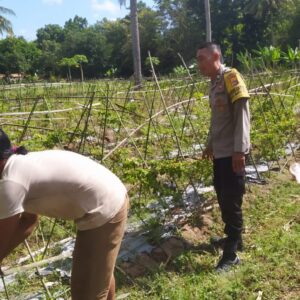 DDS Bhabinkamtibmas Sekotong Perkuat Ketahanan Pangan Desa