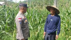 Ketahanan Pangan Dimulai dari Sekotong: Peran Aktif Bhabinkamtibmas Desa