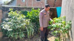 Edukasi Warga Binaan Manfaatkan Lahan Pekarangan Upaya Bhabinkamtibmas Polsek Woha Dukung Ketahanan Pangan Nasional