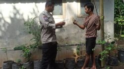 Batulayar Bangkitkan Ketahanan Pangan Lewat Pekarangan Bergizi