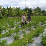 Polri Ajak Petani Dusun Tegal Manfaatkan Lahan Kosong untuk Swasembada Pangan
