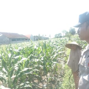 Sinergi Polri dan Petani Labuapi Wujudkan Desa Mandiri Pangan