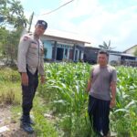 Lahan Kosong Jadi Solusi Pangan: Inisiatif Bhabinkamtibmas Desa Labuapi