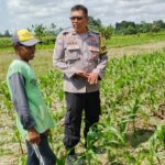 Bhabinkamtibmas Telagawaru Ajak Petani Wujudkan Swasembada Pangan Keluarga