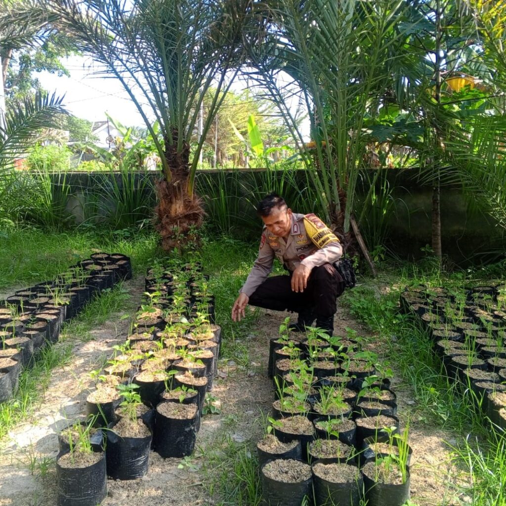 Bhabinkamtibmas Terong Tawah Dorong Ketahanan Pangan Lewat Pemanfaatan Pekarangan