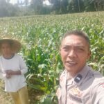 Kolaborasi Polisi dan Warga Kuripan Wujudkan Kemandirian Pangan