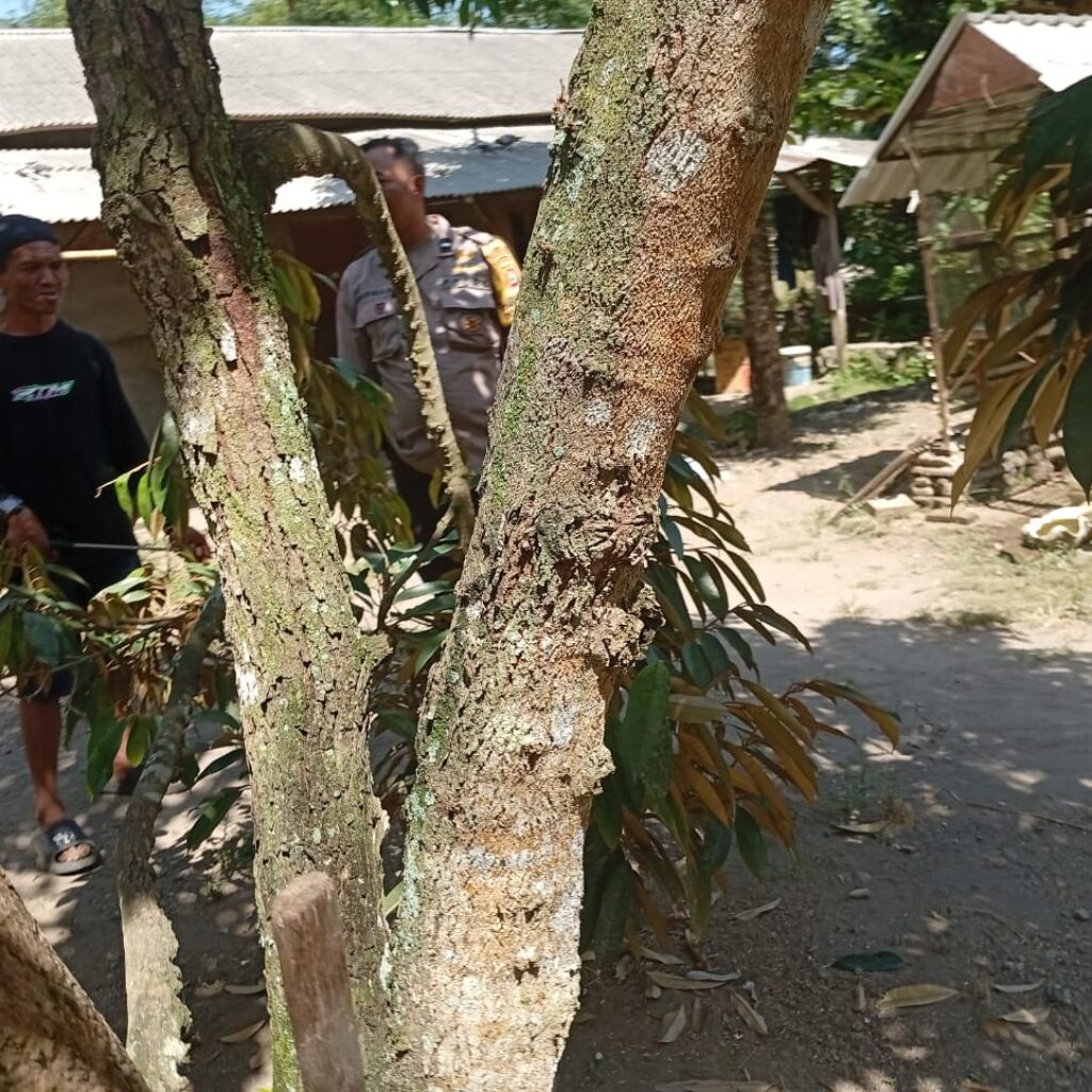 Ketahanan Pangan Desa Merembu Didorong Lewat Jalan Usaha Tani Baru