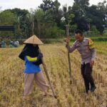 Sosialisasi Pupuk Subsidi Tanpa Biaya oleh Bhabinkamtibmas di Kuripan Utara