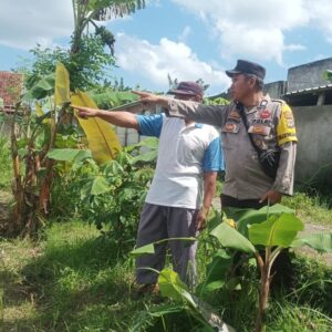 Langkah Nyata Desa Sandik Menuju Kemandirian Pangan Rumah Tangga