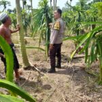 Dusun Gersik Asri Jadi Contoh Sinergi Polri dan Petani