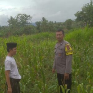 DDS di Dusun Long Longan: Polisi Ajak Petani Manfaatkan Lahan Kosong