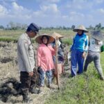 Polisi Ajak Warga Montong Are Tengah Tanam Jagung untuk Ketahanan Pangan