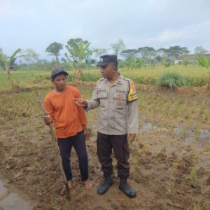 Sinergi Polri dan Warga Desa Montong Are Wujudkan Swasembada Pangan