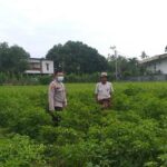 AIPTU Dodit Galakkan Tanam Pangan Bergizi di Desa Jagaraga