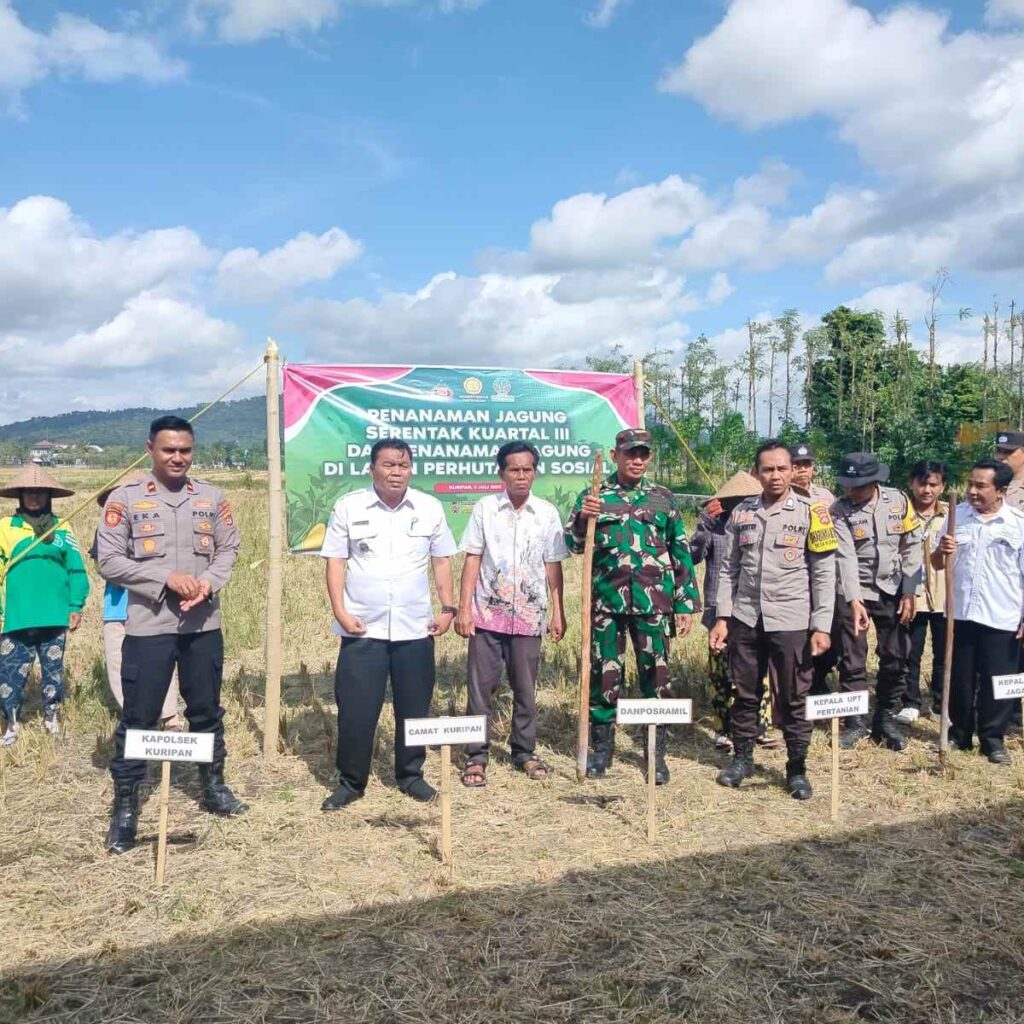 Sinergi Polri, TNI, dan Warga Dukung Swasembada Pangan di Jagaraga, Kuripan