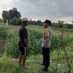 Kuripan Utara Jadi Contoh Penerapan Ketahanan Pangan Rumah Tangga