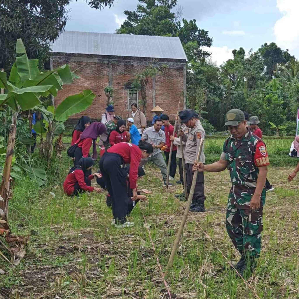 Sinergi Polsek Batulayar dan Warga Sandik Tanam Jagung Dukung Ketahanan Pangan