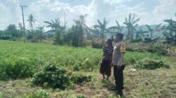 Panen Kacang di Taman Ayu: Momen Polisi Bangun Komunikasi Humanis dengan Warga