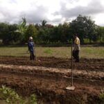 Sinergi Petani dan Polisi di Lombok Barat Perkuat Swasembada Pangan