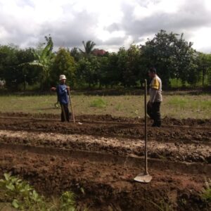 Sinergi Petani dan Polisi di Lombok Barat Perkuat Swasembada Pangan