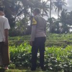 Ketahanan Pangan Dimulai dari Pekarangan Warga Lembar