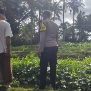 Ketahanan Pangan Dimulai dari Pekarangan Warga Lembar