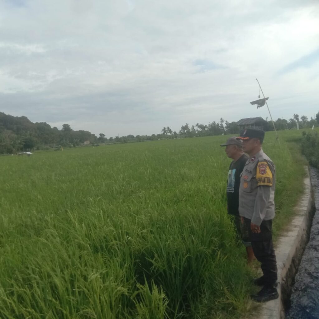 Bhabinkamtibmas Desa Rhee Dukung Ketahanan Pangan dengan Memotivasi Warga Manfaatkan Pekarangan