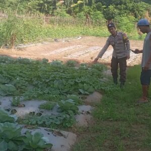 Bhabinkamtibmas Desa Belo Dampingi Warga Tanam Sayuran Dukung Swasembada Pangan