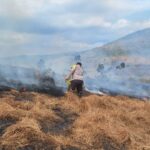 Anggota polsek kempo bersama aparat desa melakukan pemadaman titik api di lahan sori dumu desa tolokalo