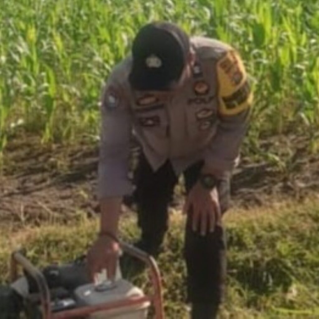 Bhabinkamtibmas Karang Bongkot Dukung Petani Jagung Manis Eksotik Lombok Barat