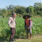 Bhabinkamtibmas Desa Sandik Ajak Warga Dusun Tato Barat Wujudkan Swasembada Pangan