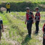 Patroli Polres Lobar Kini Pantau Lahan Jagung: Dukungan Nyata untuk Petani Kuripan