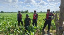 Polres Lombok Barat Dukung Petani Jagung di Desa Dasan Geres