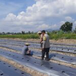 Polri dan Warga Montong Are Bersinergi Wujudkan Swasembada Pangan