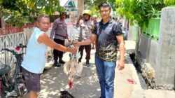 Tanpa Kompromi, Polsek Bolo Grebek Arena Judi Sabung Ayam dan dua Ekor Ayam Aduan di Potong