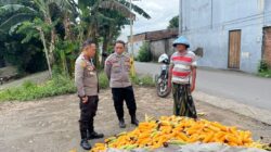 Polsek Labuapi Bantu Petani Amankan Harga Panen Jagung ke Bulog